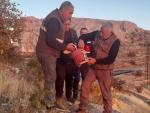 Elazığ’da yasadışı avcılık yapan şahsa idari işlem uygulandı