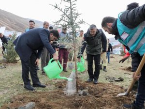 Bitlis’te 3 bin fidan dikildi