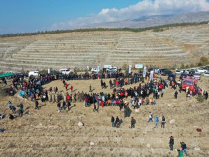 Erzincan’da 410 dönüm alanda 36 bin adet fidan toprakla buluşturuldu