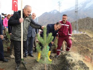 Hakkari’de 2 bin 500 fidan dikildi