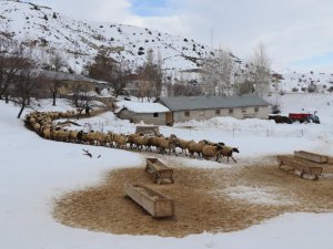 Yüksek kesimler kardan beyaza büründü besicilerin kış sezonu başladı