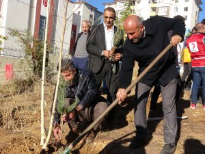 Yüksekova’da 2 bin 700 fidan toprakla buluşturuldu