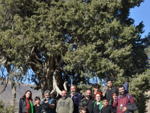 Erdal Erzincan “Ağaçname”’ye klip çekti!