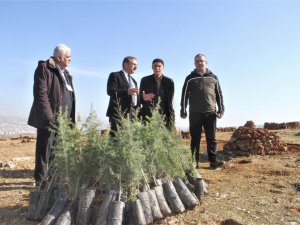 Taşlık araziyi ormana çevirmişti: Yetkililer teşekkür edip fidan desteğinde bulundu