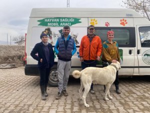 Kars’ta 21 köyde bin 500 kuduz aşısı yapıldı