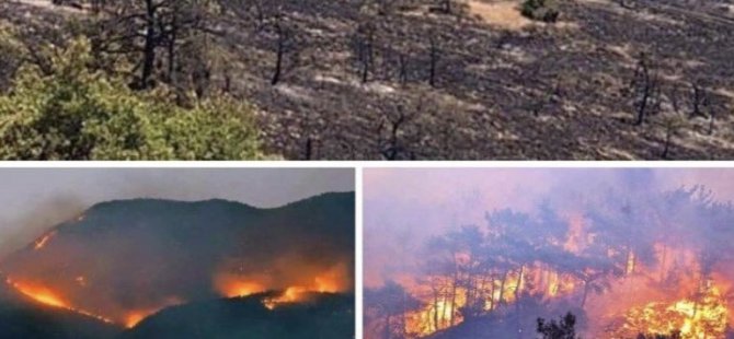 Dersim’de 1 yıl içinde 23 orman yangını