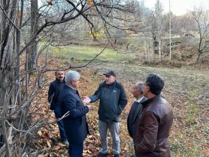 Bitlis’te kestane üretiminde verimi arttırma çalışmaları sürüyor