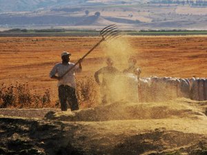 Tarımsal girdi fiyat endeksi ekimde yıllık yüzde 134,76 arttı