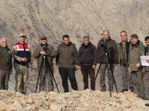 Elazığ’da yaban keçisi envanter çalışması yapıldı