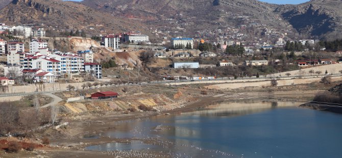 Dersim HES, baraj ve maden ocakları kıskacında