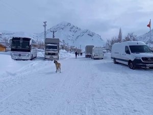 Aynı dönem iki farklı görüntü: Kuraklık kendini iyiden iyiye hissettiriyor