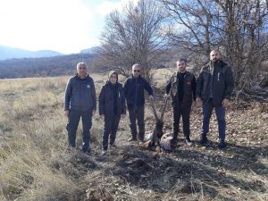 Avcılar, domuz avı gerçekleştirirken görüntülendi VİDEO