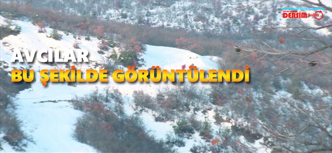 Avcılar, domuz avı gerçekleştirirken görüntülendi VİDEO