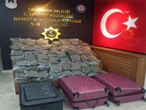 Şanlıurfa'da 59 kilo 650 gram skunk ele geçirildi: 5 gözaltı