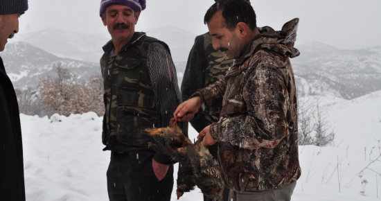 Av ve Yaban Hayatını Koruma Ekipleri, Tunceli’de kaçak avcılara göz açtırmıyor