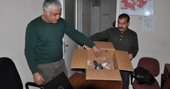 Yaralı Atmaca Tedavisinin Ardından Doğaya Salındı