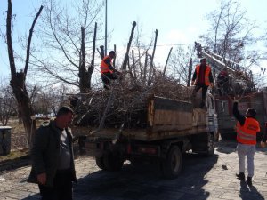 Tatvan’da park ve bahçelerde bahar temizliği