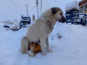 DERHAYKO’dan mama desteği çağrısı