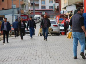 Depremin ardından vatandaşlar bu ilçeye akın etti