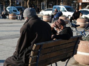 Erzincan'da yaşlı nüfusun toplam nüfus içindeki oranı yüzde 13,2