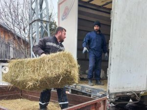 Ardahan’dan deprem bölgesine saman, yem ve 79 adet küçükbaş hayvan gönderildi