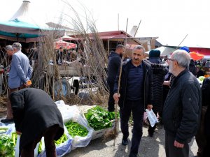 Erzincan’da meyve fidanı satışı başladı