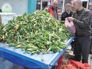 Şifa kaynağı 'Çiriş' otu tezgahlardaki yerini aldı