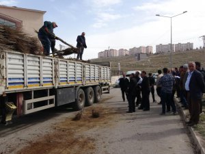 Van’da 31 bin adet meyve fidanı dağıtıldı