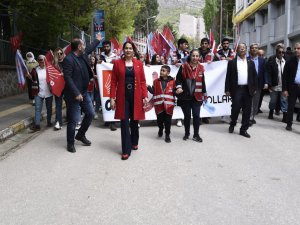 CHP Dersim Adayı Karakoyun: 100 yıllık dönüm noktasındayız