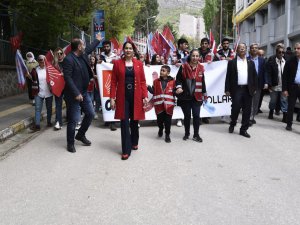 CHP Dersim Adayı Karakoyun: 100 yıllık dönüm noktasındayız