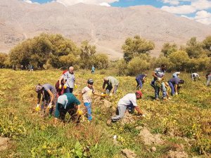 Ovacık Doğal’dan öğrencilere tohum desteği