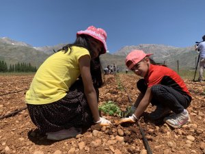 Çocuklar ilk kez kendi bostanlarını ekti