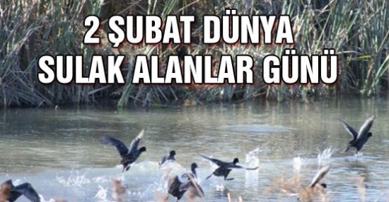 Orman ve Su İşleri Tunceli Şube Müdürlüğünden Kutlama Mesajı