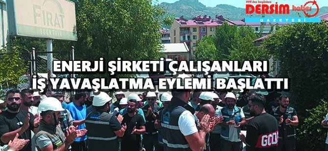 Enerji şirketi çalışanları, iş yavaşlatma eylemi başlattı