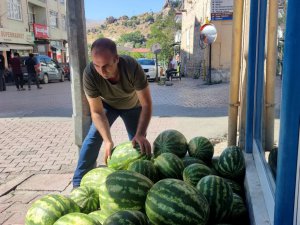 ’Hıdıroz’ karpuzu tezgahlardaki yerini aldı