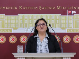 Milletvekili Kordu, göç sorununu Meclise taşıdı