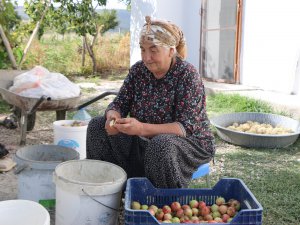 Dersimli Hatayi Kala’nın kış hazırlığı başladı