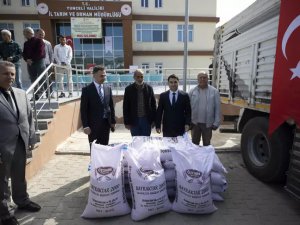 Çiftçilere 366 ton sertifikalı buğday tohumu dağıtıldı