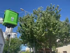 Fırat EDAŞ'tan doğaya duyarlı müdahale: Kuşlar güvende