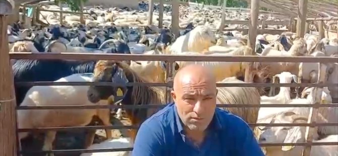 Şahverdi Köyü Üreticileri Yetkililere Seslendi: "Yerli Üretici Mağdur Ediliyor"