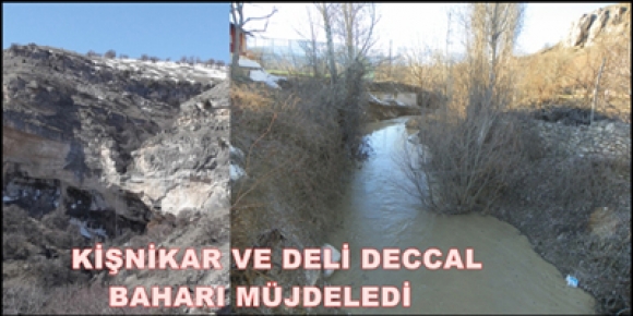 Kişnikar ve Deli Deccal Baharı Müjdeledi