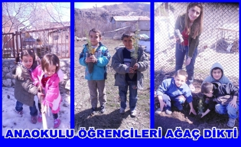 Çemişgezek Anaokulu Öğrencileri Ağaç Dikti