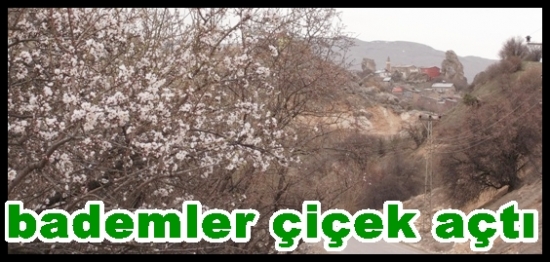 Çemişgezek’te Badem Ağaçları Görsel Şölen Yaşatıyor