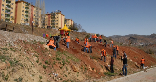 Tunceli Belediyesinden Ağaçlandırma Çalışması