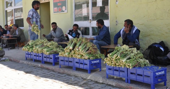Ovacık Işkını tezgâhlarda yerini aldı