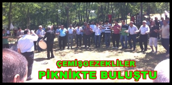 İstanbul’daki çemişgezekliler piknikte buluştu