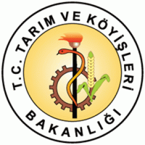 Bakanlık el sanatları için kursiyer alacak