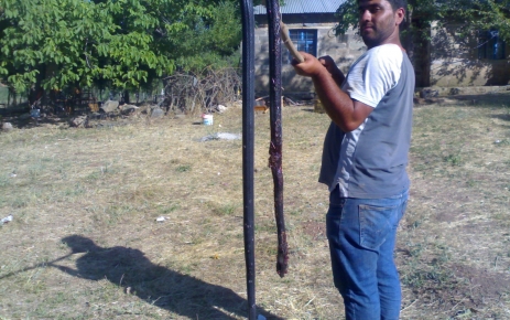 Tunceli’de 3 metre boyunda yılan öldürüldü