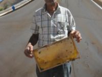 Tunceli'nin Ahpanos Vadisi, Bal Üretimiyle Öne Çıktı