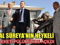 Cemal Süreya'nın Heykeli Memleketi Pülümür'de Açıldı